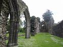 2014_06_Scotland_Day_15_Inchmahome (17)